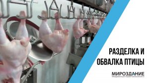 Линия разделки птицы. Разделка и обвалка курицы
