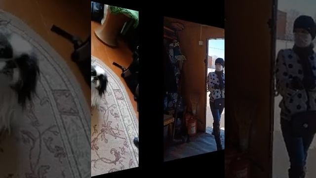 Я и моя Няма на слова Асадова. смотреть онлайн