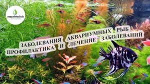 Болезни аквариумных рыб их профилактика и лечение.