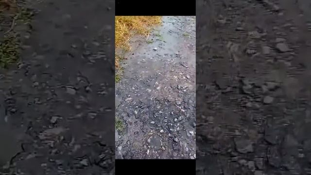 Электропередачи 750 КВ гудят провода с краю слободы возле села почапинцы и новоселица смотреть онлайн