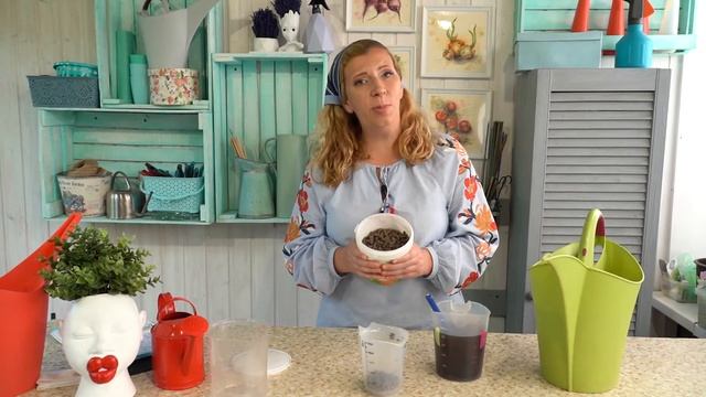 Подкорма для малины с Мариной Рыкалиной смотреть онлайн