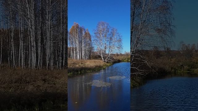 Осенняя охота. С подхода