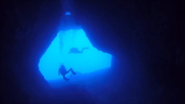 elephant cave смотреть онлайн
