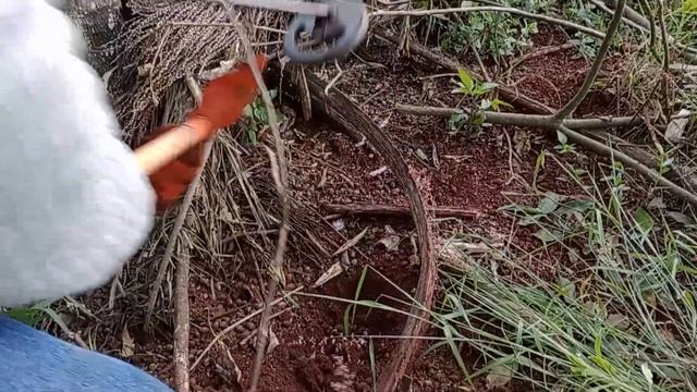 Pelo detalhes desse garfo . é coisa que estava aí muito tempo.(detector de metais). смотреть онлайн