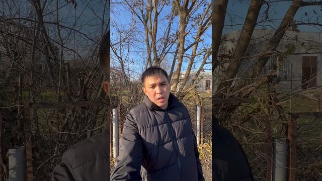 Самый большой долг на Вайлдберриз