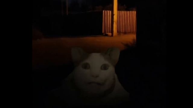 бу испугался не бойся