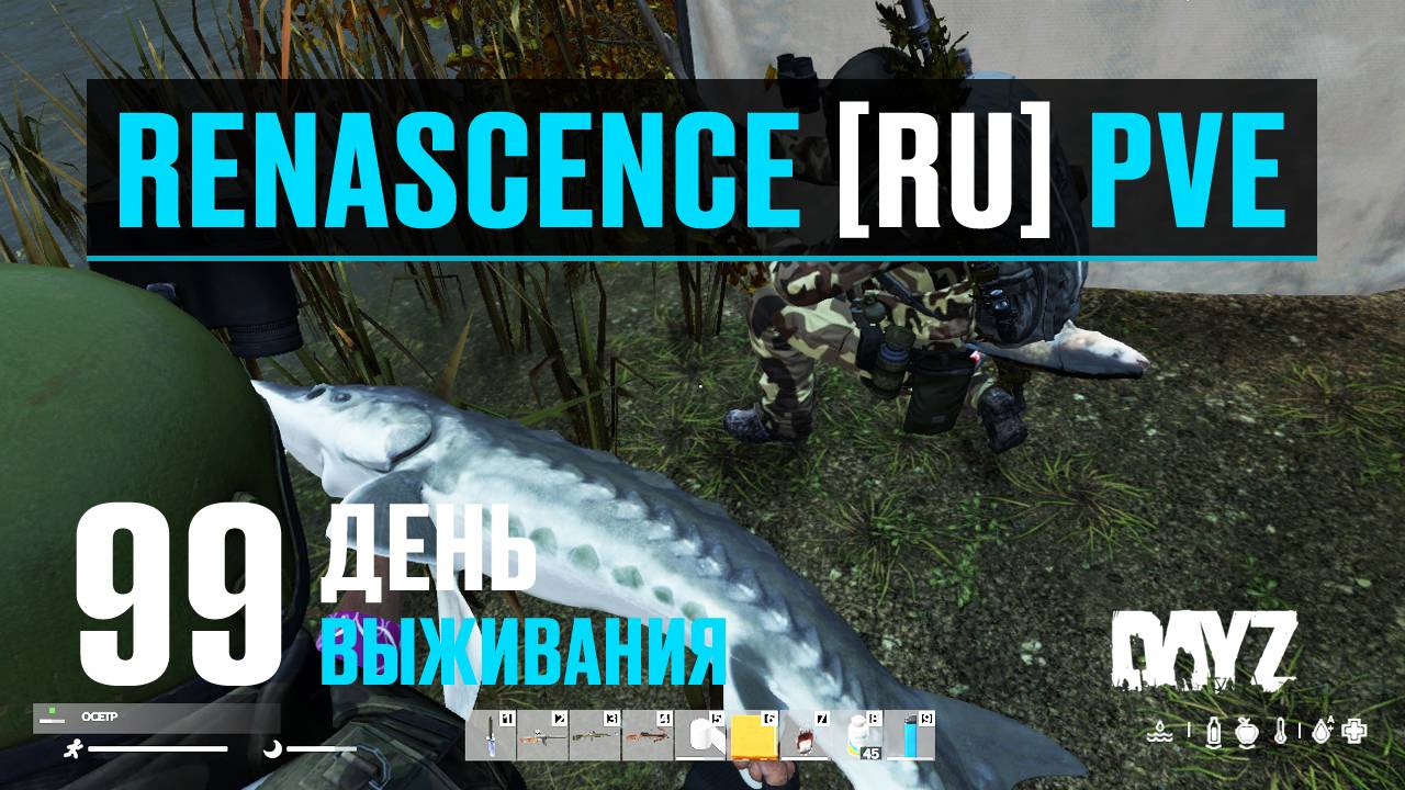 DayZ. RENASCENCE [RU] PVE. 99 день выживания. Крутой улов на новую снасть и охота за ботами. смотреть онлайн
