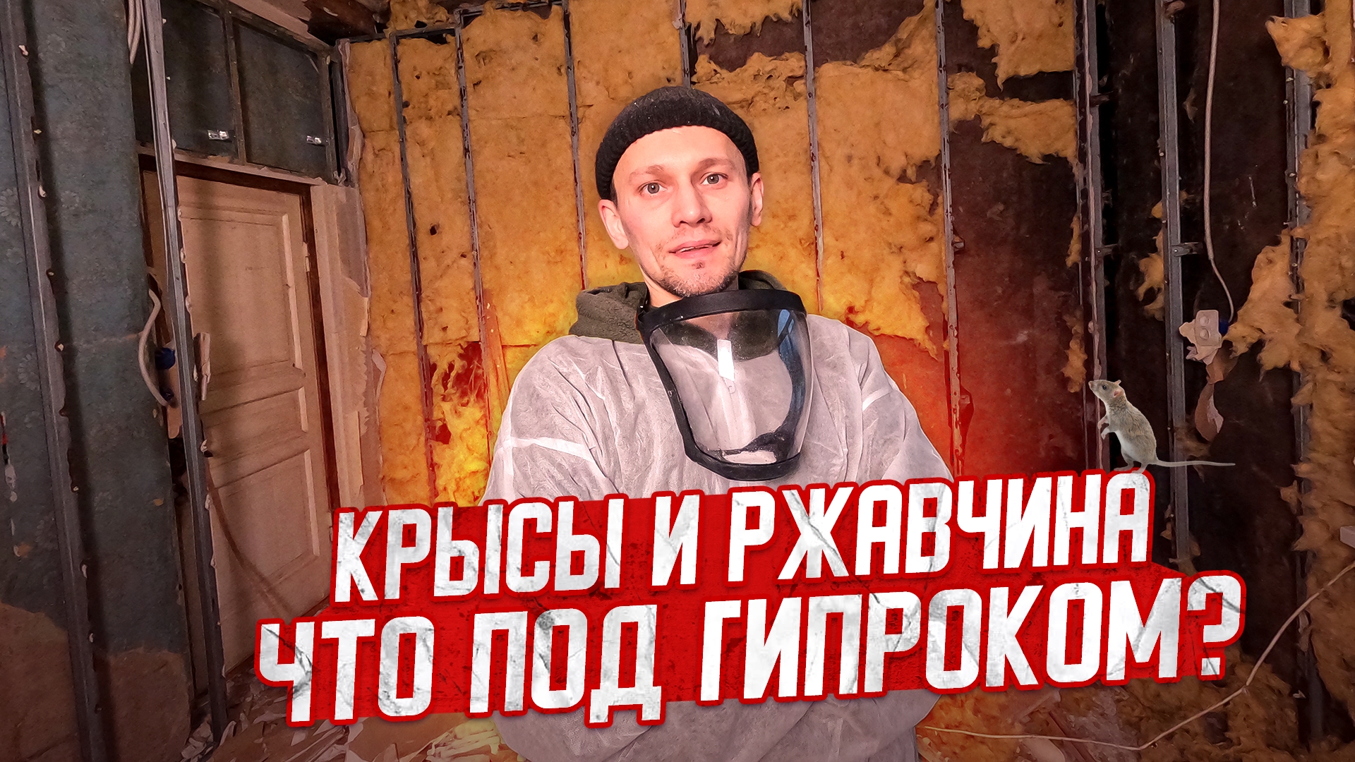Восстанавливаю дом 1958г. Снял со стен гипрок: крысы, ржавчина, грибок... смотреть онлайн