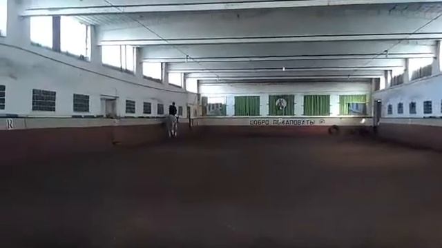 Серая. ППД смотреть онлайн