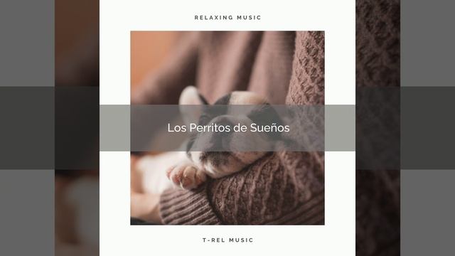 Restless Dogs : Soothing Tunes part 2 смотреть онлайн