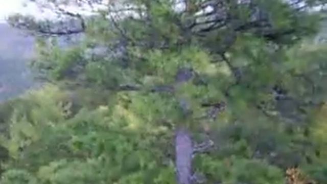 Красноярские Столбы 2 смотреть онлайн