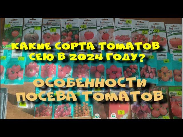 Какие сорта томатов сею в 2024 году? Посев томатов для Сибири. смотреть онлайн
