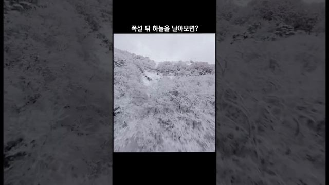 Корпорация Юмора - Видео от Корпорация Юмора смотреть онлайн