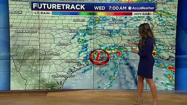 7 A.M. UPDATE: Tropical Storm Beta brings surge and winds смотреть онлайн