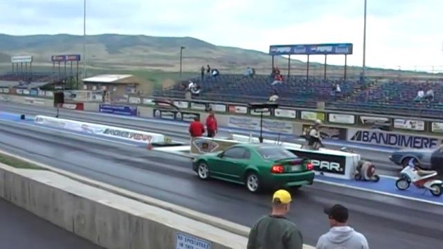 99 Cobra V.S. Cougar смотреть онлайн