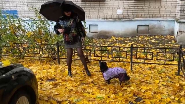 Танцуй.mp4 смотреть онлайн