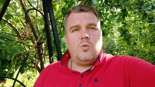 Книга - лучший собеседник смотреть онлайн