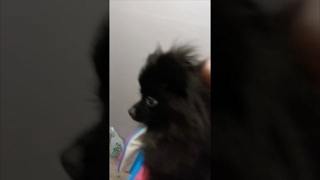 МАЛОВАТА БУДЕТ!)))