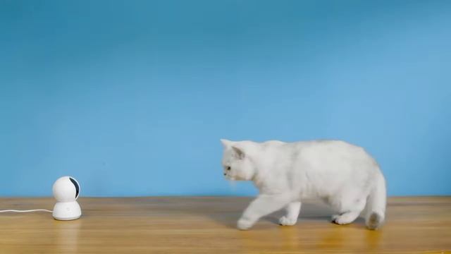 Xiaomi Smart Pet Fountain