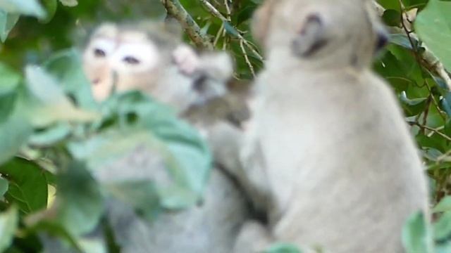 Mom Angel Less Care With Little Adler, Almost Raising Up To her Back Side. смотреть онлайн