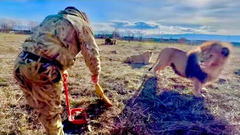 УЖАС Марсель кинулся защищать Олега Зубкова! смотреть онлайн