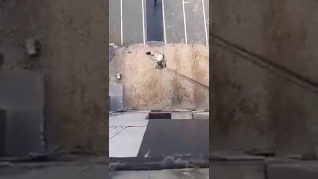 Мальчик спас бабушку смотреть онлайн