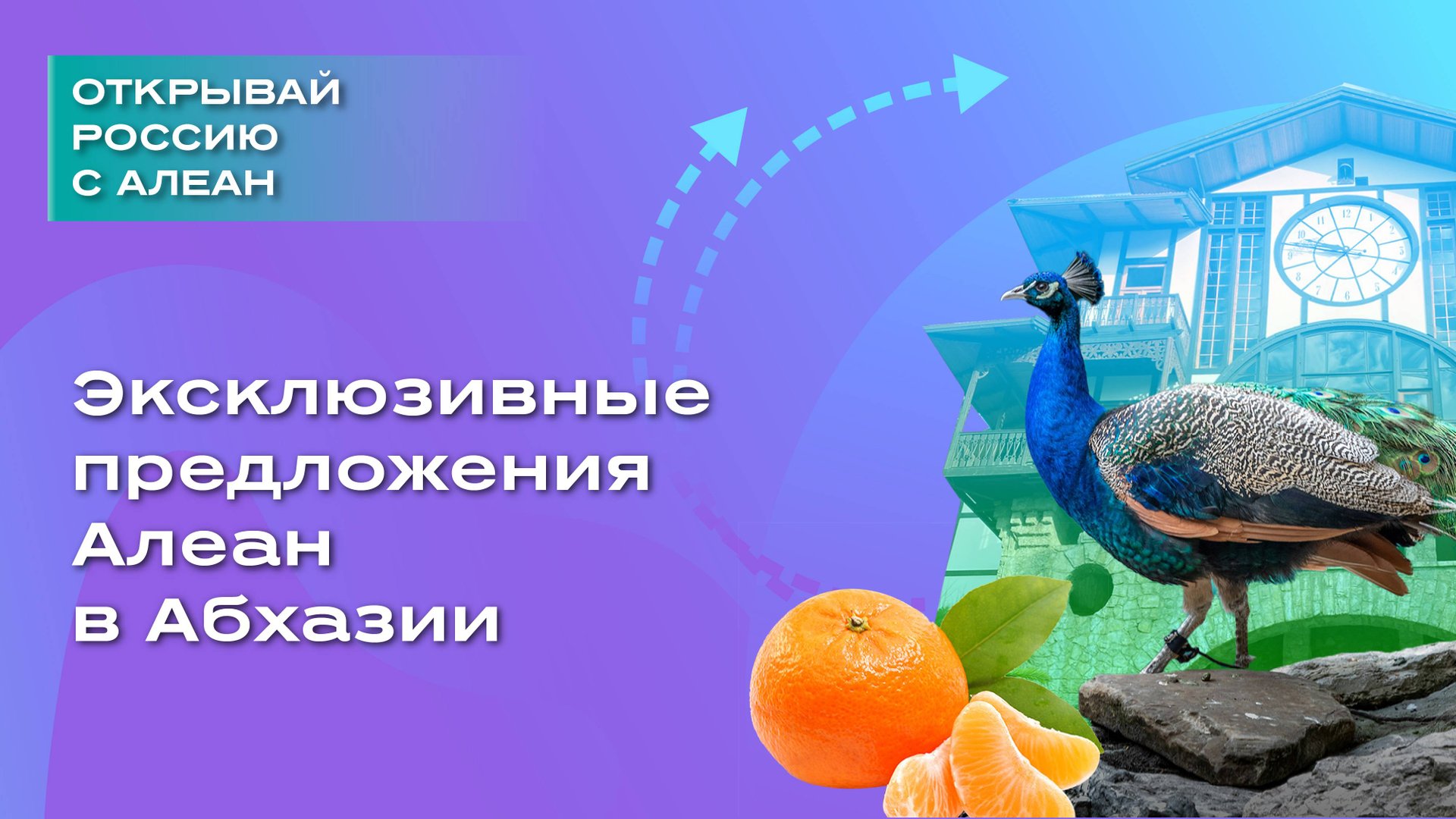 Эксклюзивные предложения Алеан в Абхазии смотреть онлайн