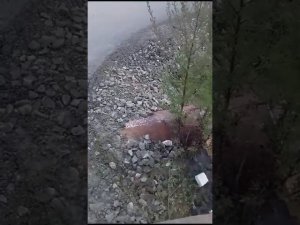 7 микрорайон в Инзе.В перспективе отключение электроэнергии из - за подмывания подстанции и столбов.