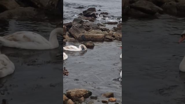 Тихий зимний Крым смотреть онлайн