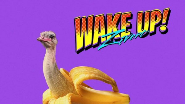 Zivert feat.Steinbeer - Wake Up! (Cover)