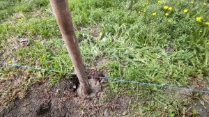КАК СДЕЛАТЬ ЗАБОР ИЗ ПРОФНАСТИЛА СВОИМИ РУКАМИ
