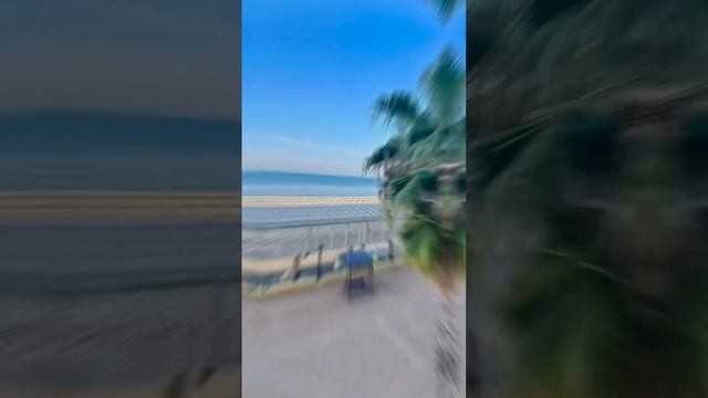 Отпуск 24’. Декабрь. г.Сочи. Санаторий «Сочи»