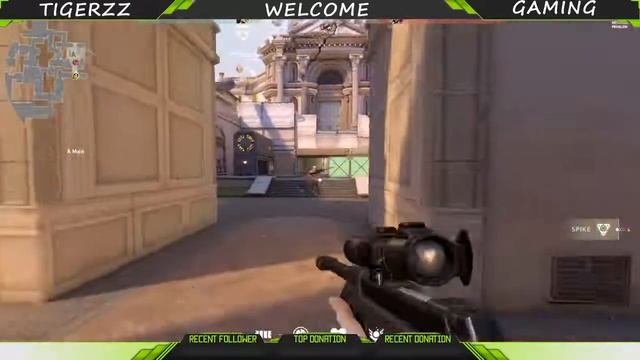 Valorant live stream смотреть онлайн