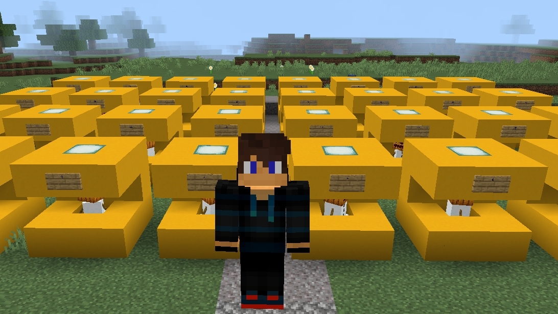 Я должен найти из 32 снеговиков 5 с именами в майнкрафт