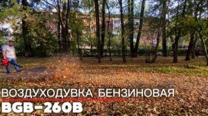 Воздуходувка бензиновая BGB-260B