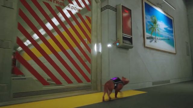 В КОНЦЕ ТЫ БУДЕШЬ ПЛАКАТЬ  ФИНАЛ СИМУЛЯТОР КОТА  Stray 6