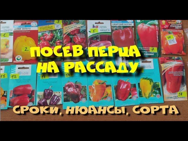 ПОСЕВ ПЕРЦА 2024г. смотреть онлайн
