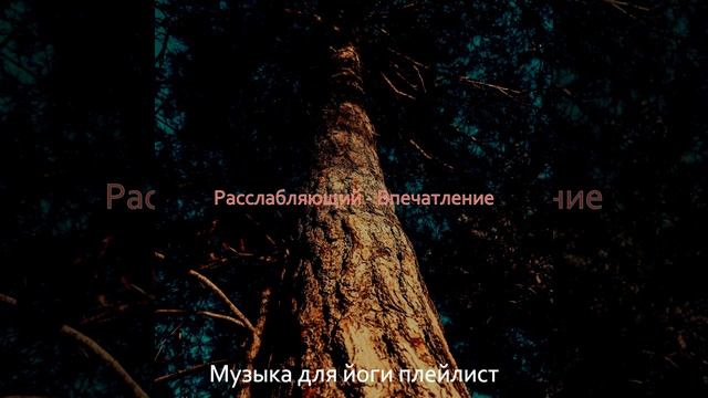 Музыка (Стресс) смотреть онлайн