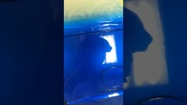 House of kolor oriental blue Escalade!!!! Wet paint alert смотреть онлайн