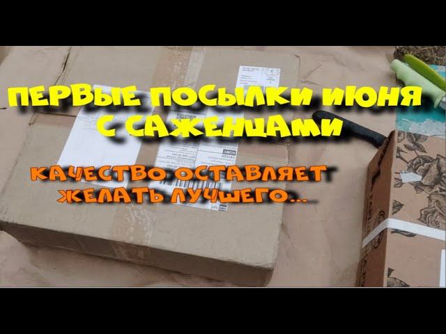 Первые посылки июня с саженцами. Настроение ухудшается. смотреть онлайн