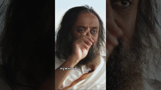 Искусство Жизни смотреть онлайн