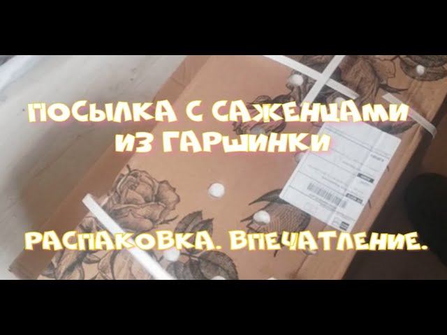ПЕРВАЯ ПОСЫЛКА 2024 ИЗ ГАРШИНКИ... смотреть онлайн