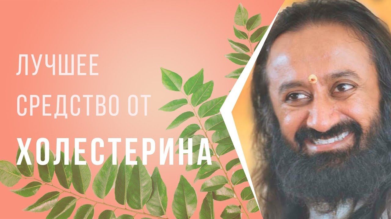 Лучшее средство от холестерина