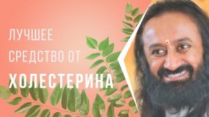 Лучшее средство от холестерина