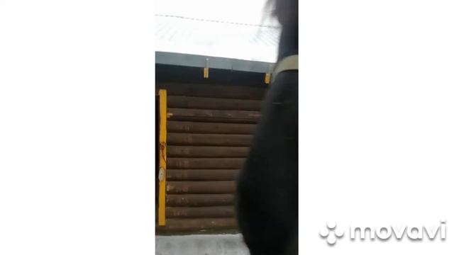 19 ноября 2021 г. смотреть онлайн