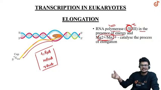 MOLECULAR BASIS OF INHERITANCE | Transcription In Eukaryotes | CLASS 12 | 8 PM By Vinay Sir | L25