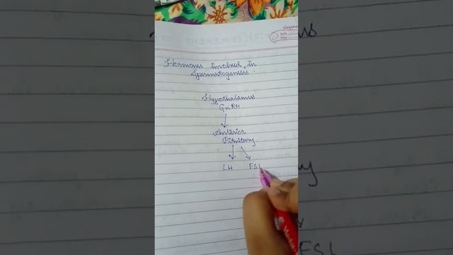 Hormones involved in Spermatogenesis