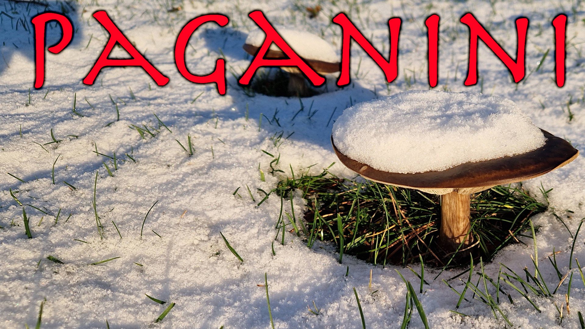 Nicolo Paganini, Variations on One String On The Moses Theme by Rossini, Maria Sokolova - cello смотреть онлайн