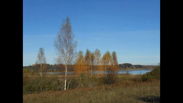 Тебе одной смотреть онлайн