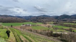 ФЕРМЕРЫ В ГЕРМАНИИ / ЖИЗНЬ В ГЕРМАНИИ 2024